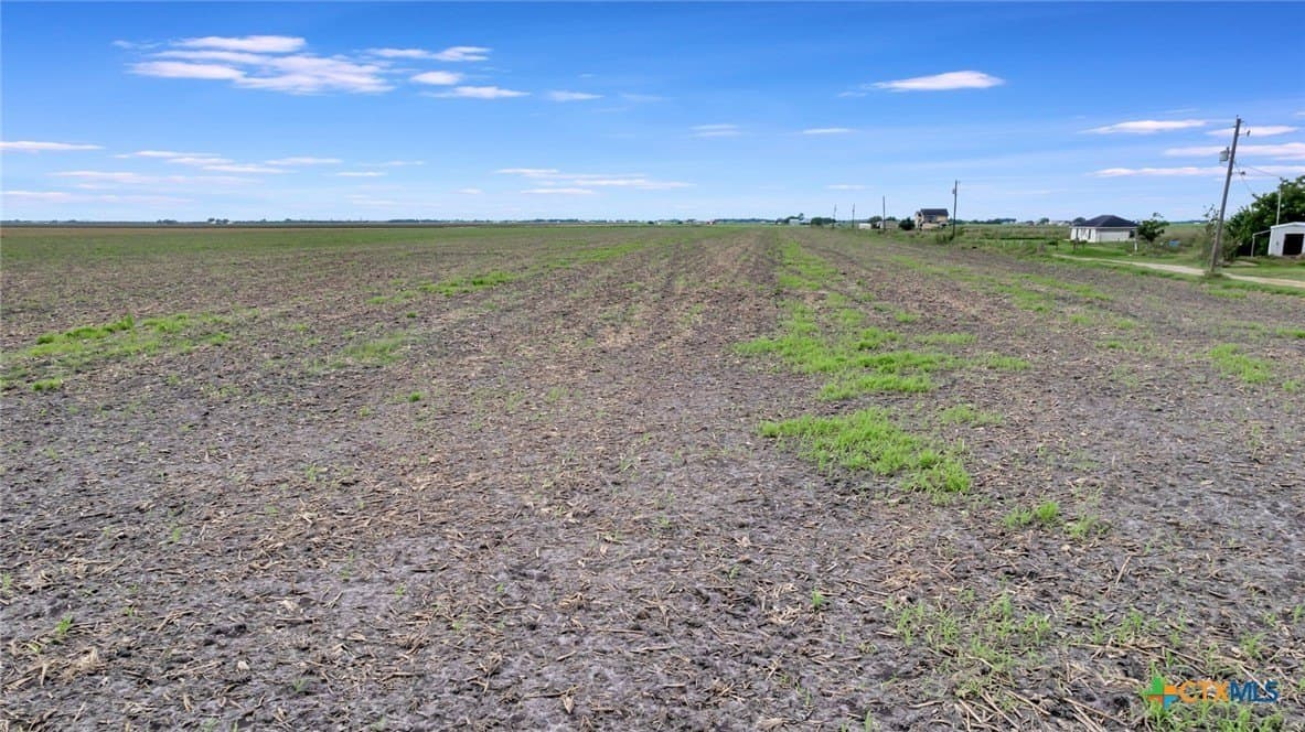 13.42 acres in Victoria County - photo 9
