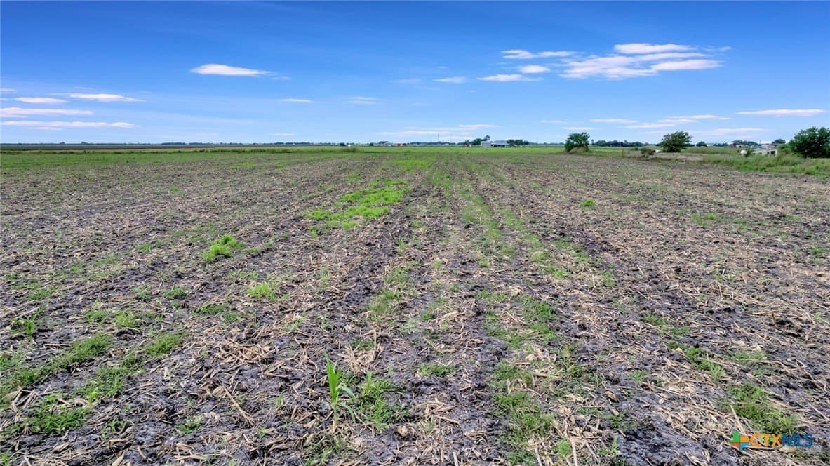 13.42 acres in Victoria County - photo 7
