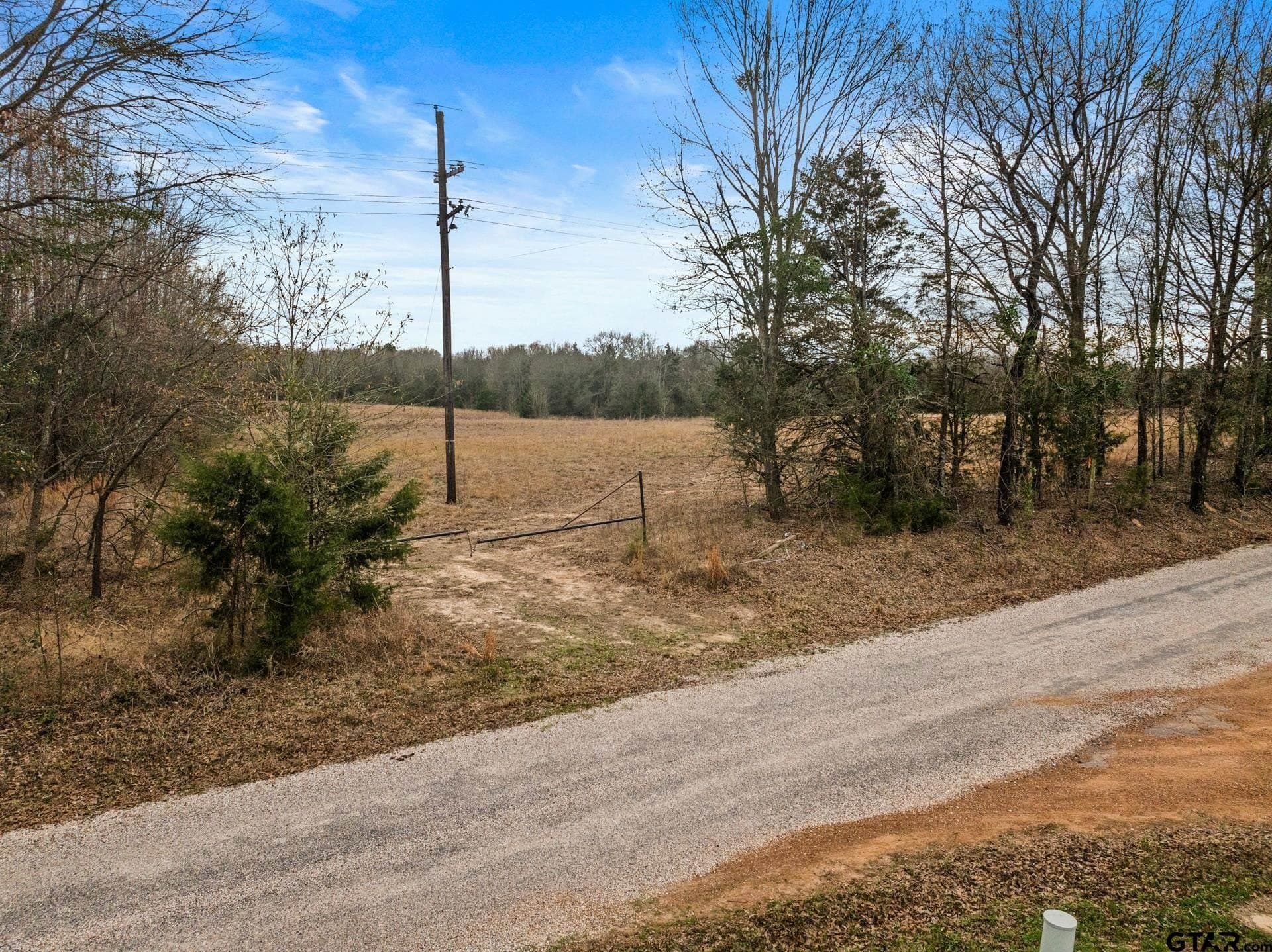 51 acres in Camp County - photo 5