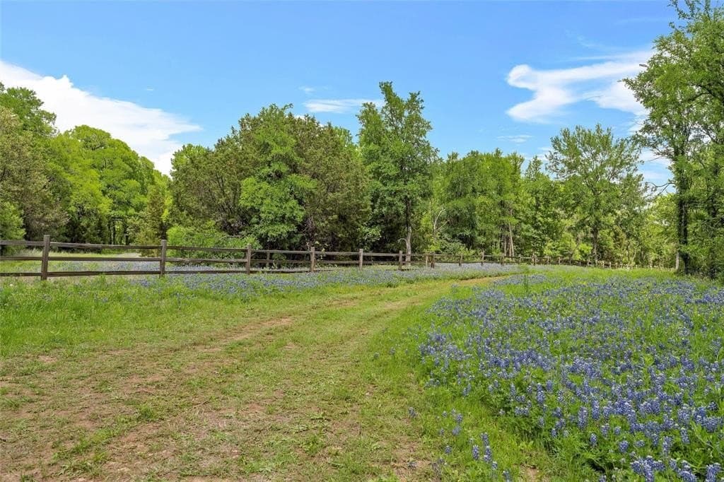 68.59 acres in McLennan County - photo 8