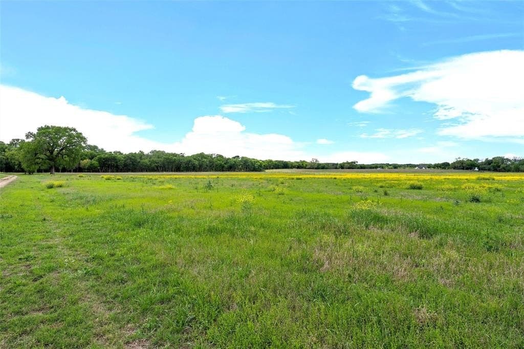68.59 acres in McLennan County - photo 15