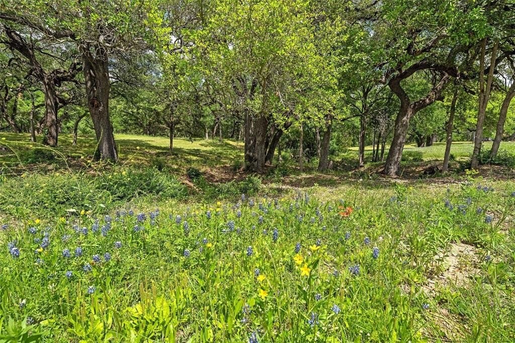 68.59 acres in McLennan County - photo 10