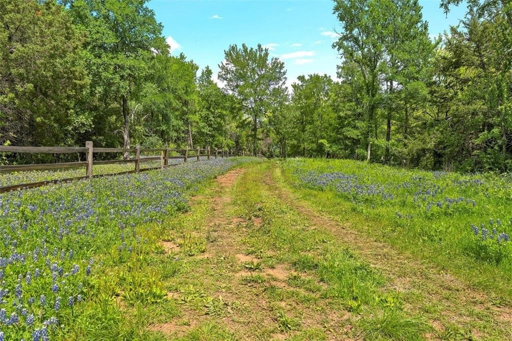 68.59 acres in McLennan County - photo 6