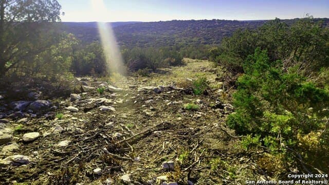 118 acres in Edwards County - photo 6