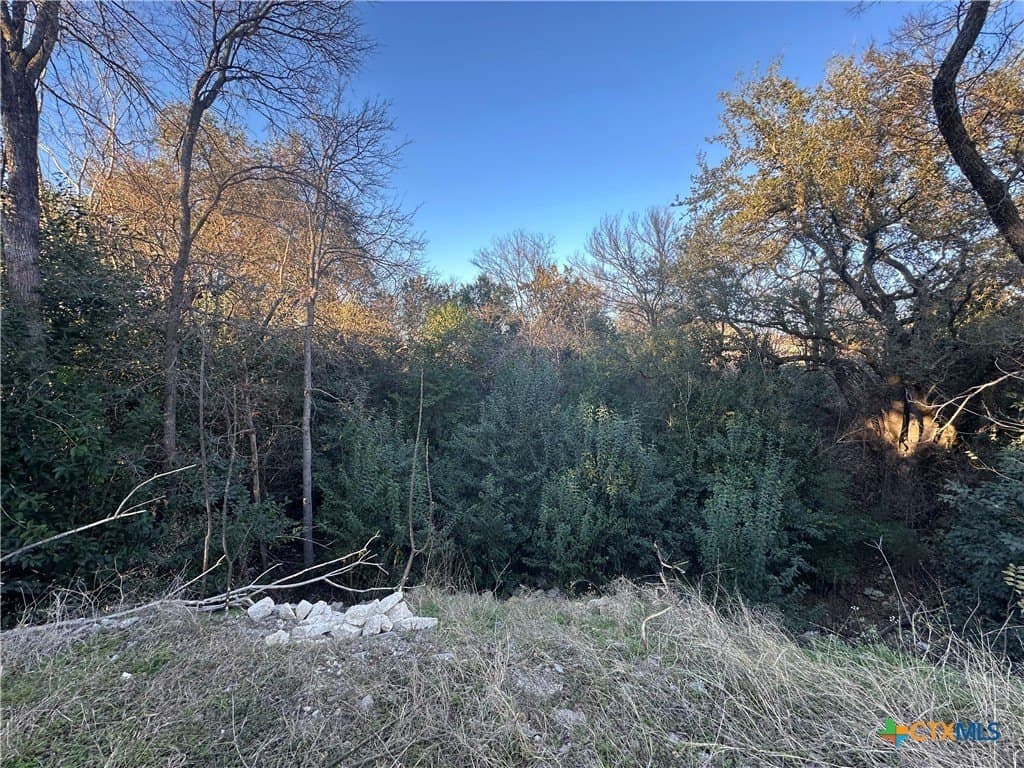 0.16 acres in Bell County - photo 3