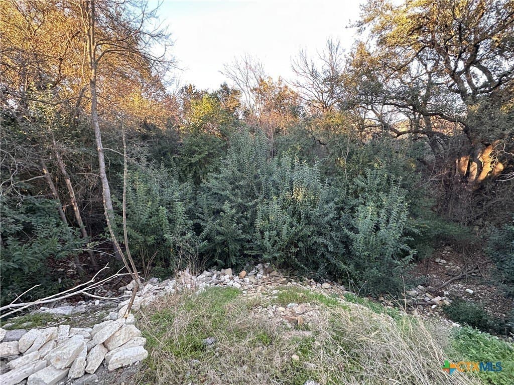 0.16 acres in Bell County - photo 4