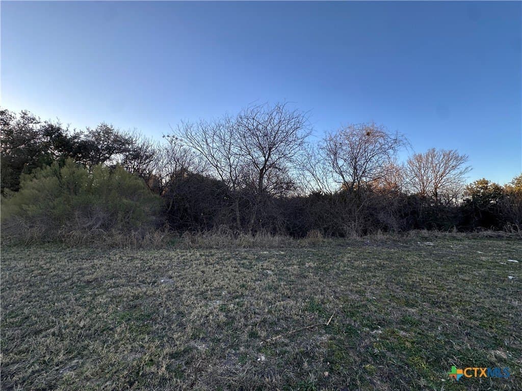 0.16 acres in Bell County - photo 5