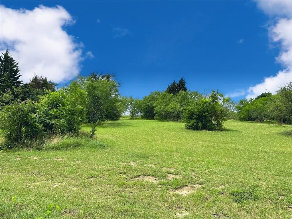 1.28 acres in Navarro County - photo 9