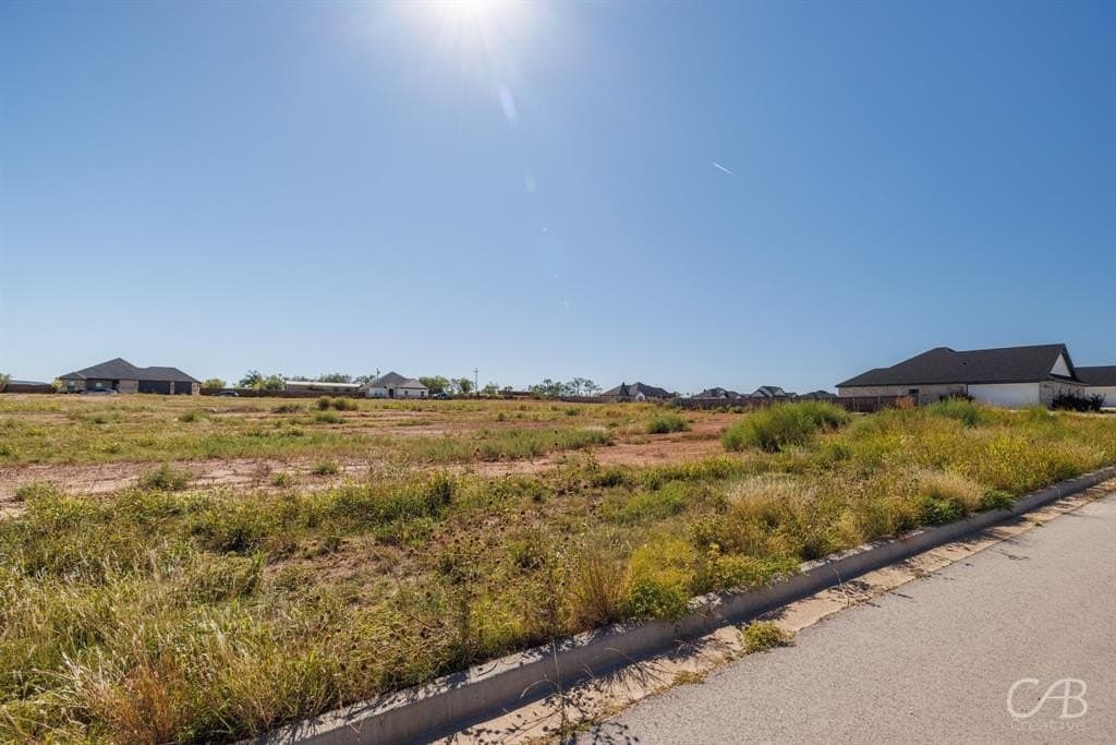 0.51 acres in Taylor County - photo 4