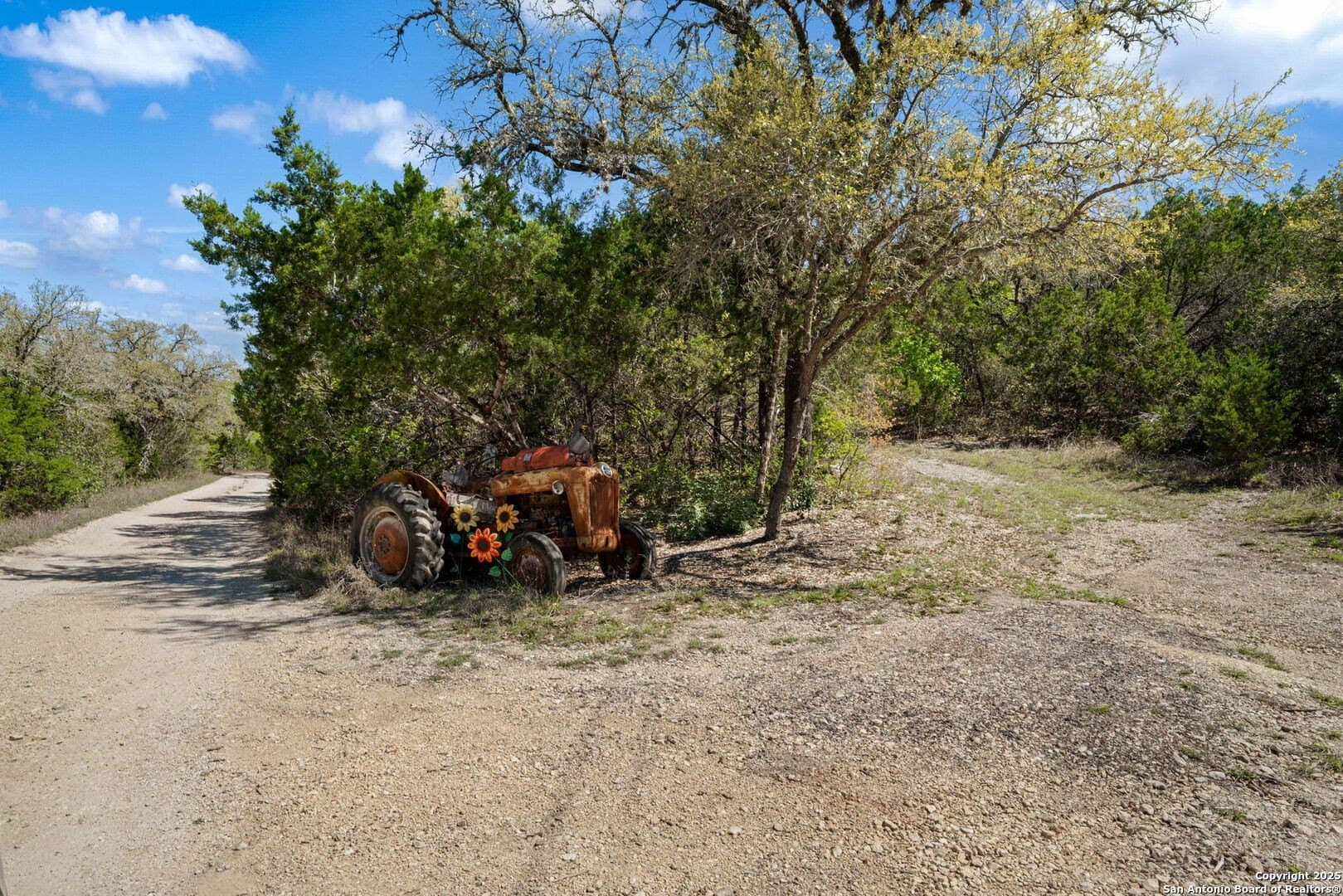 12.88 acres in Bexar County - photo 4