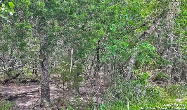0.37 acres in Guadalupe County - photo 3