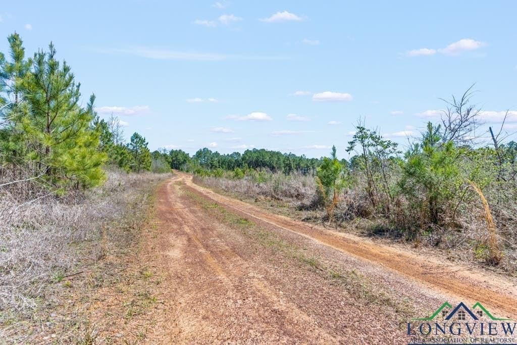 151.8 acres in Harrison County - photo 16