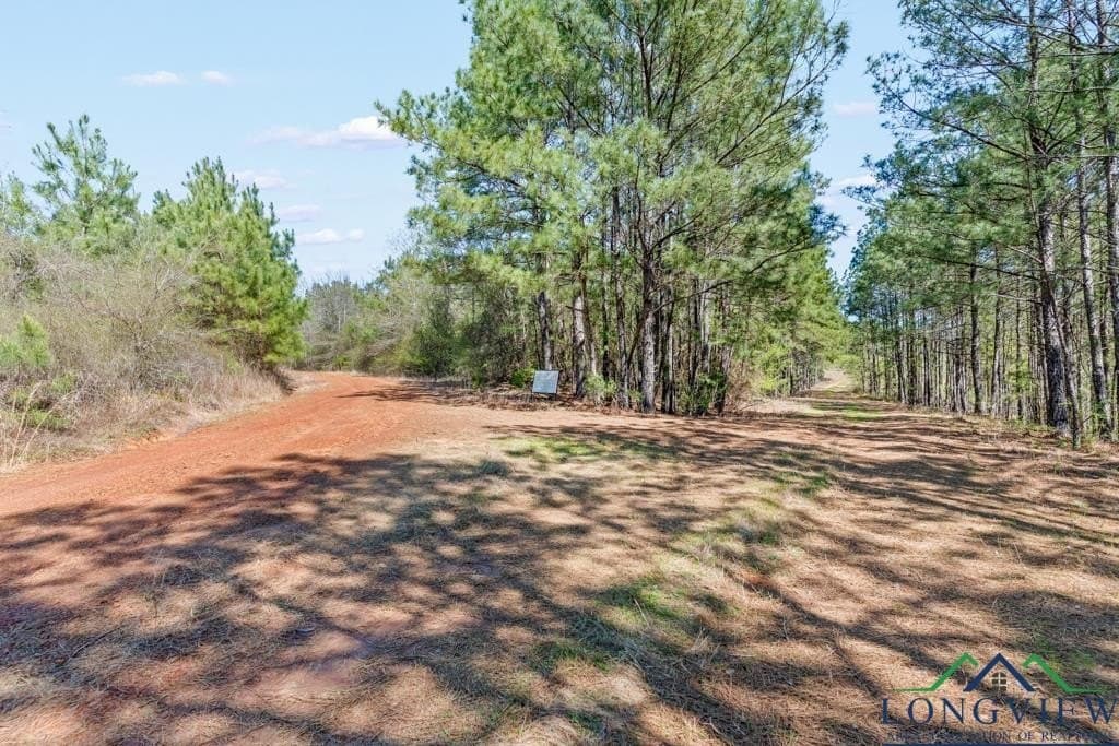 151.8 acres in Harrison County - photo 24
