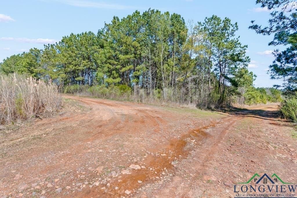 151.8 acres in Harrison County - photo 28