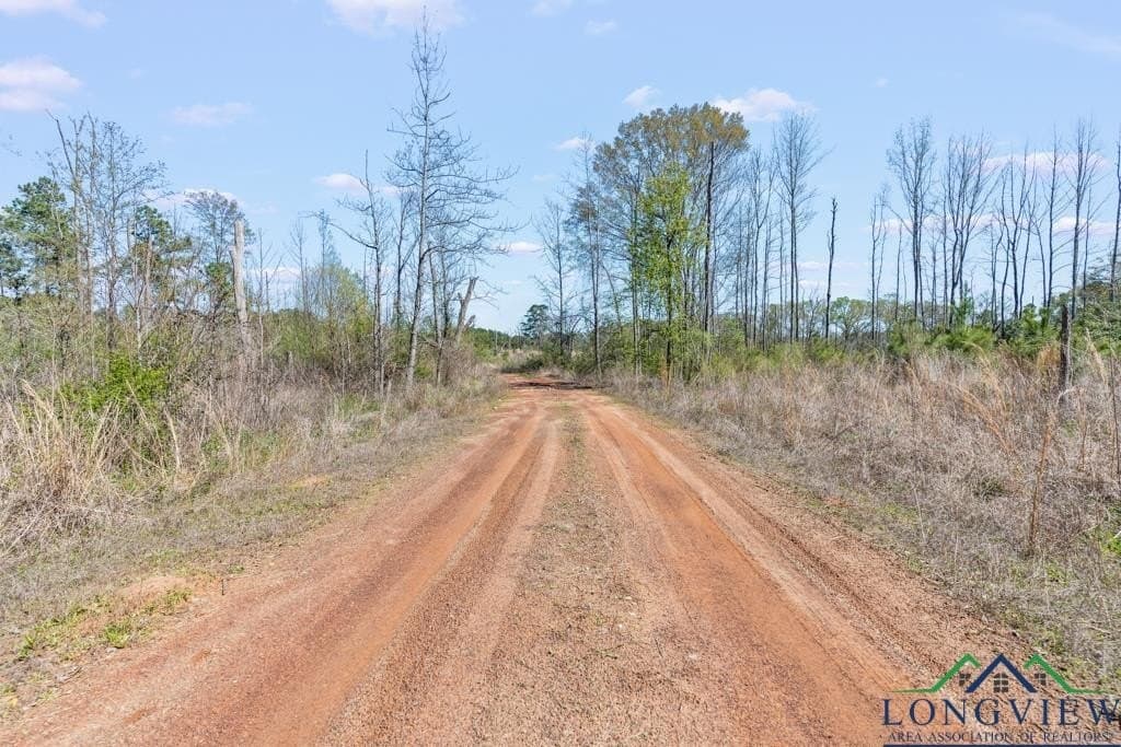 151.8 acres in Harrison County - photo 29