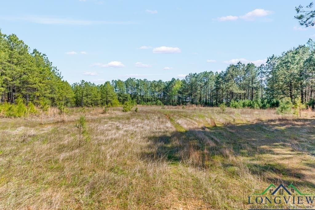 151.8 acres in Harrison County - photo 26