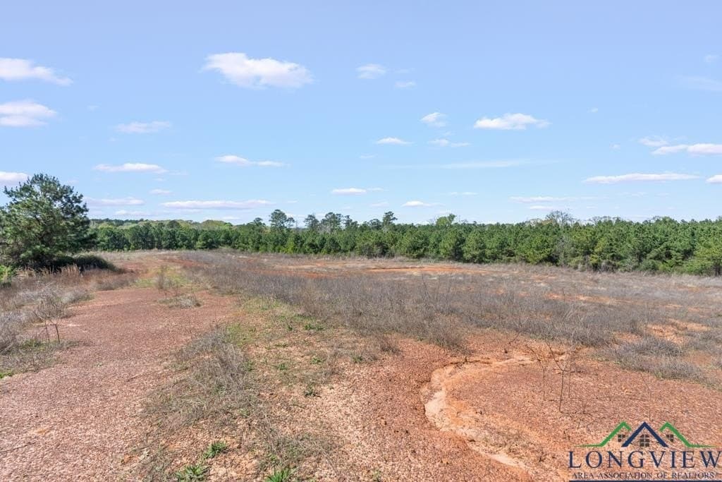 151.8 acres in Harrison County - photo 17