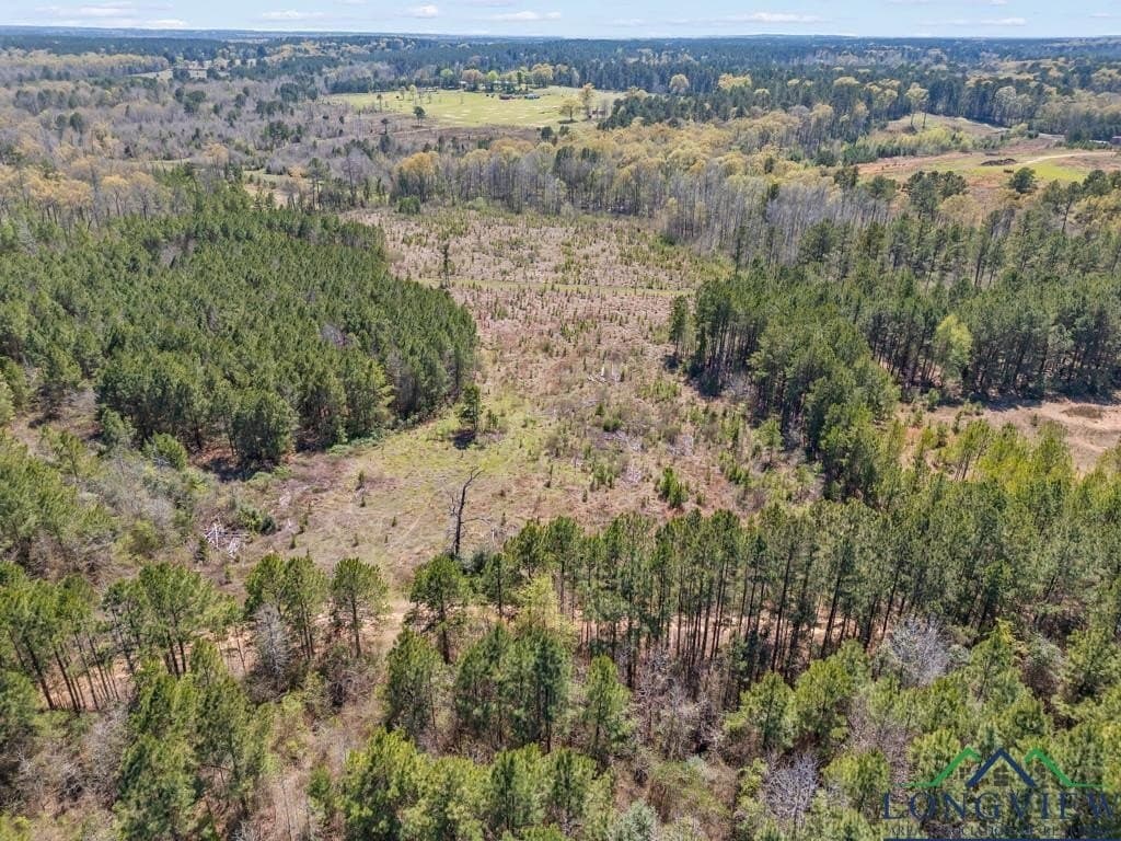 151.8 acres in Harrison County - photo 12