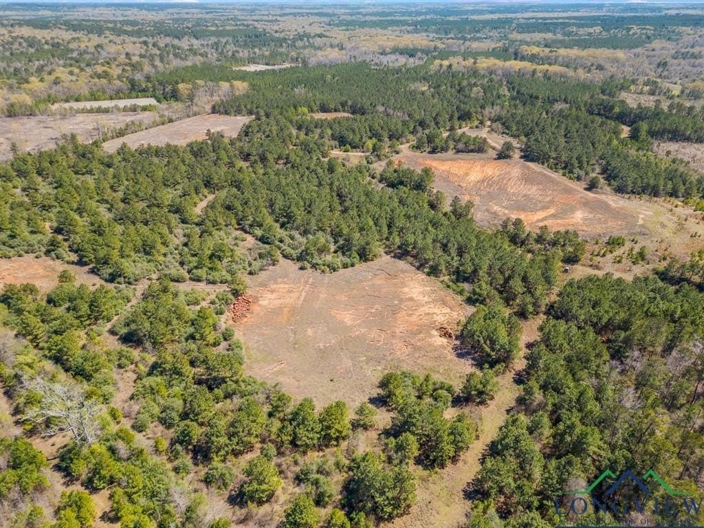 151.8 acres in Harrison County - photo 8