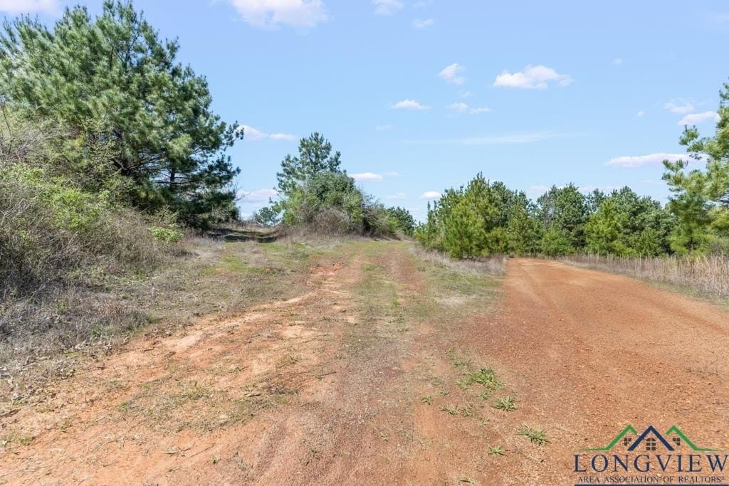 151.8 acres in Harrison County - photo 19