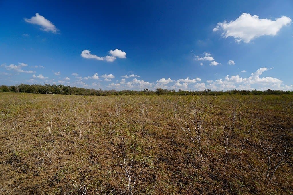 10 acres in Fayette County - photo 18