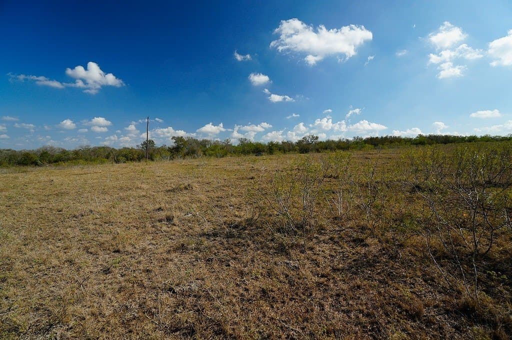 10 acres in Fayette County - photo 22