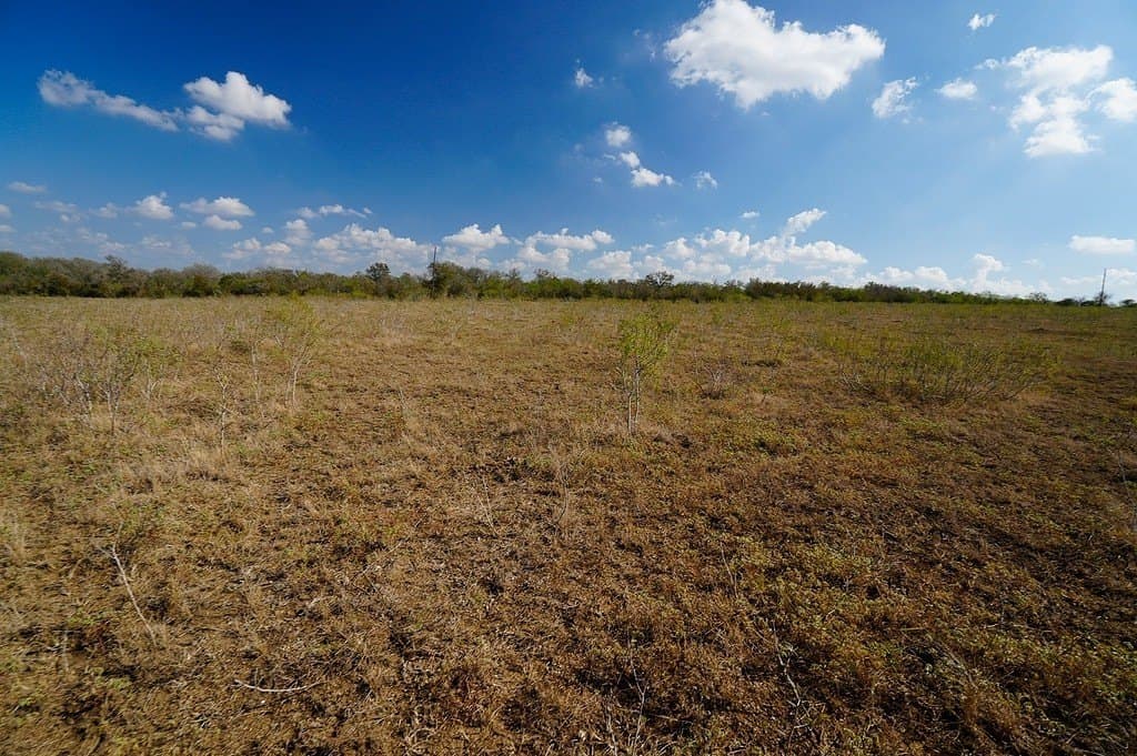 10 acres in Fayette County - photo 19