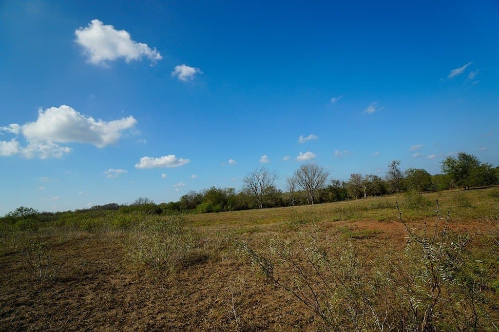 10 acres in Fayette County - photo 25