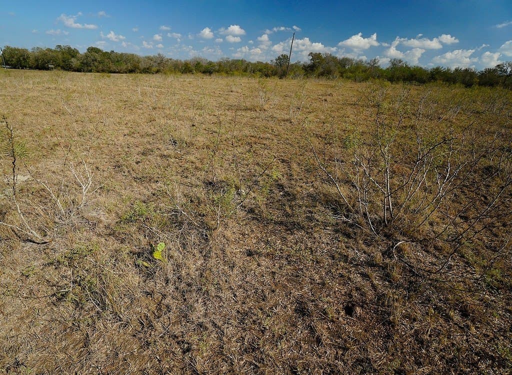 10 acres in Fayette County - photo 20