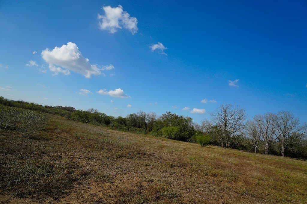 10 acres in Fayette County - photo 12