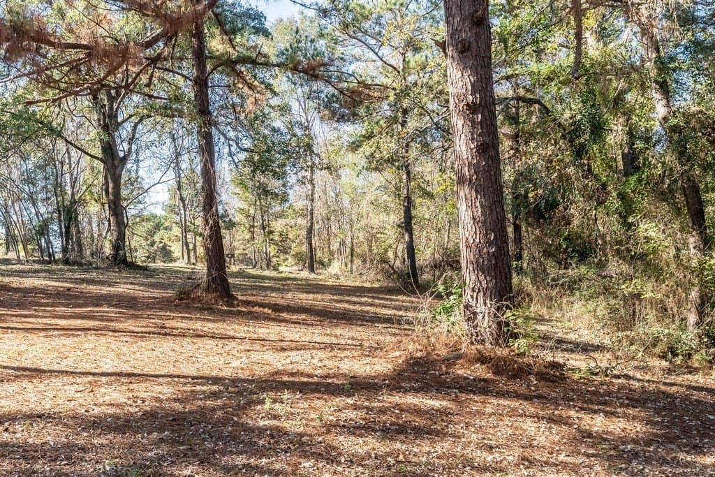 14.8 acres in ANDERSON County - photo 28