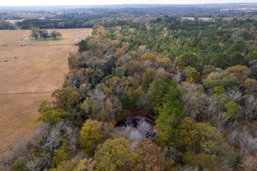 14.8 acres in ANDERSON County - photo 36