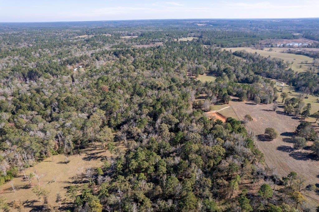 14.8 acres in ANDERSON County - photo 40