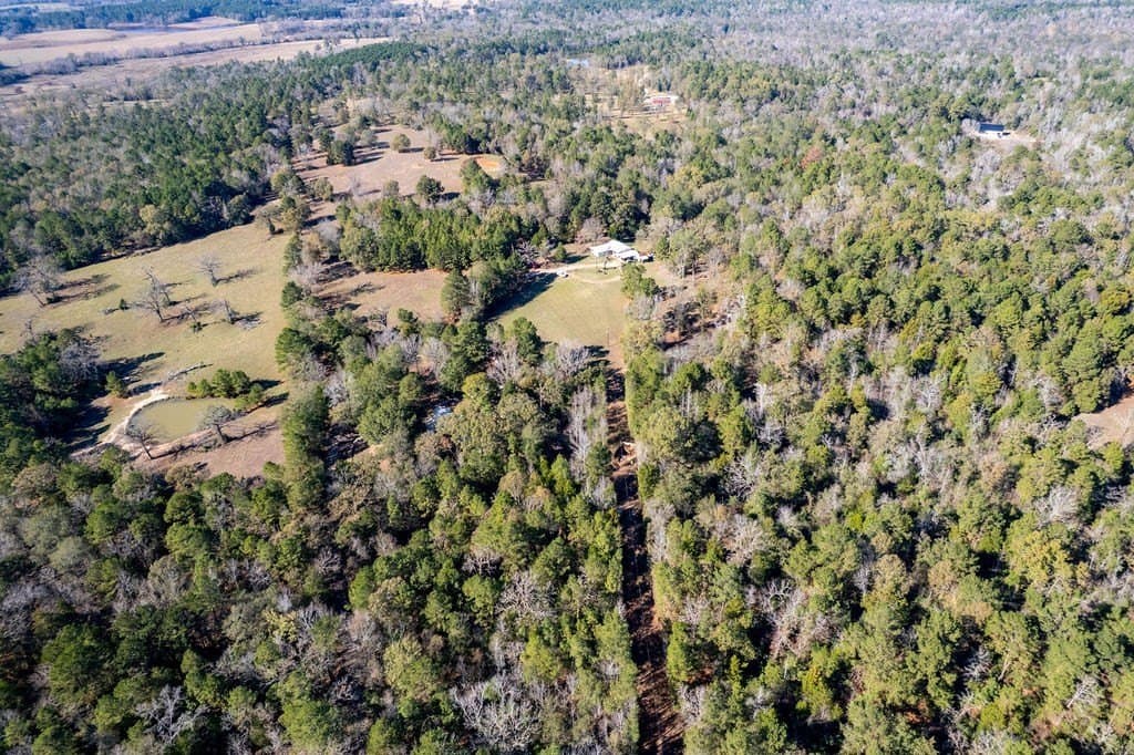 14.8 acres in ANDERSON County - photo 43