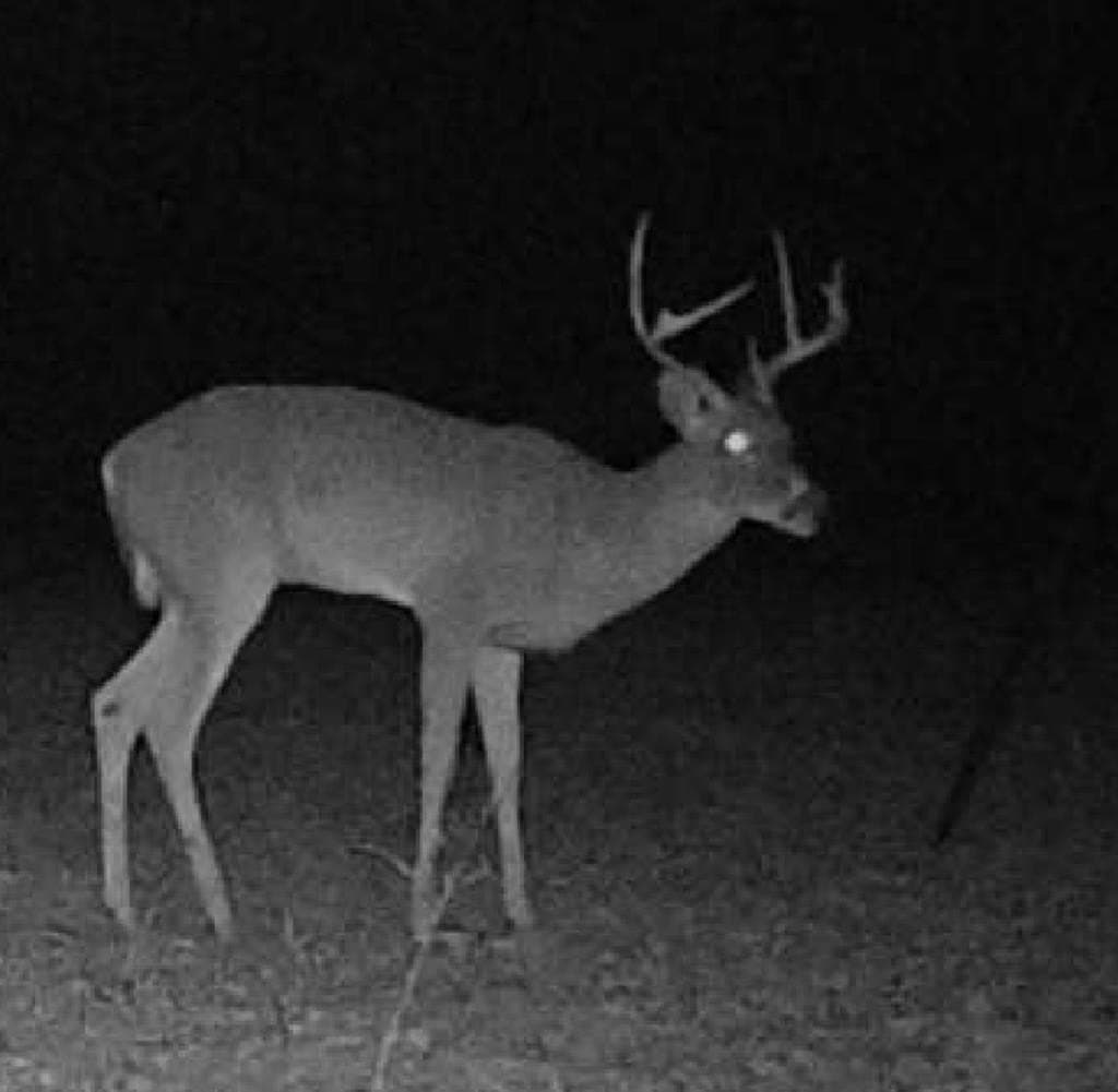 14.8 acres in ANDERSON County - photo 47
