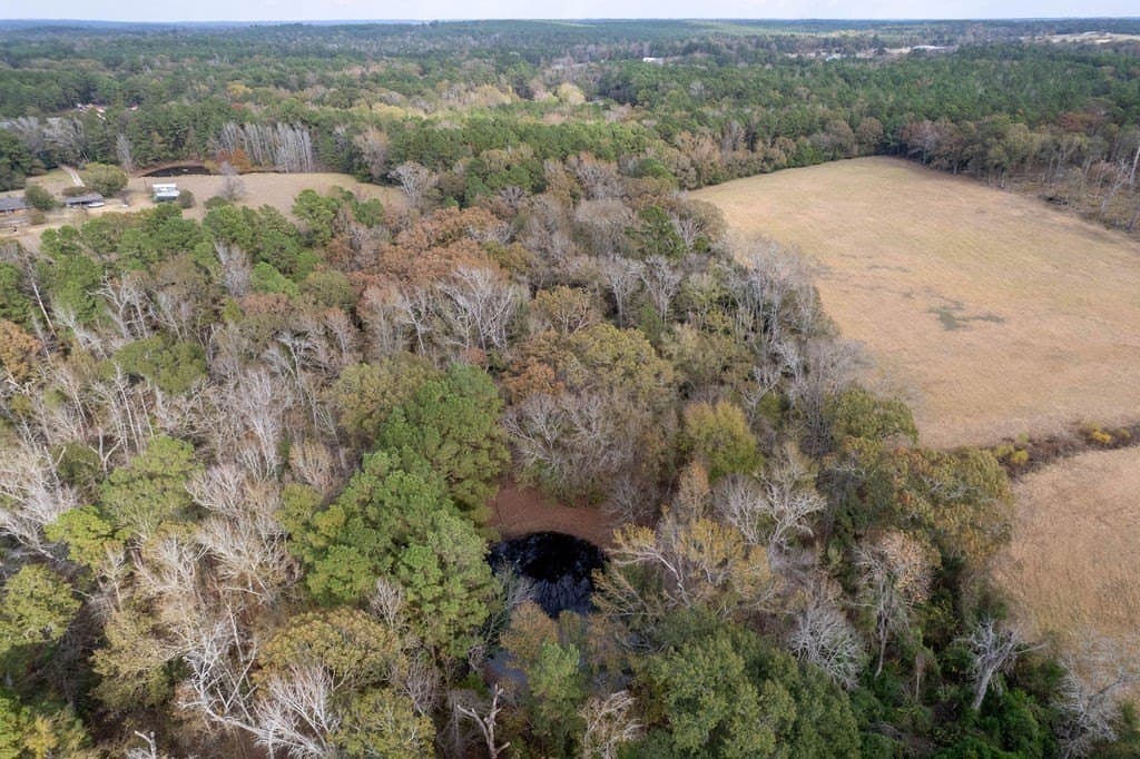 14.8 acres in ANDERSON County - photo 35