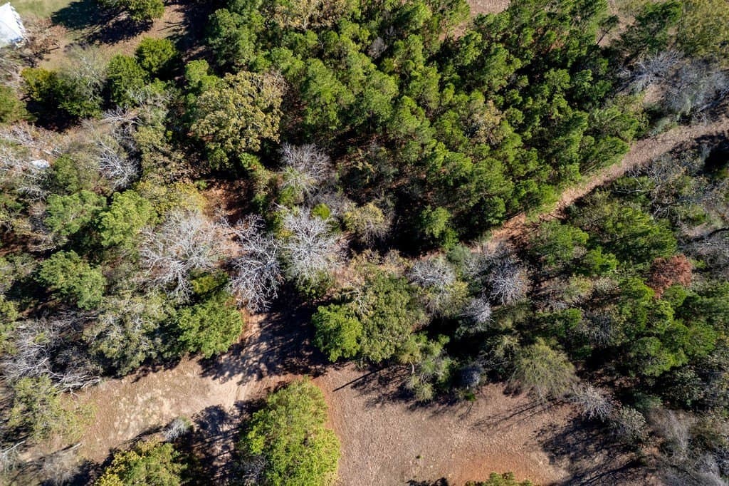 14.8 acres in ANDERSON County - photo 37