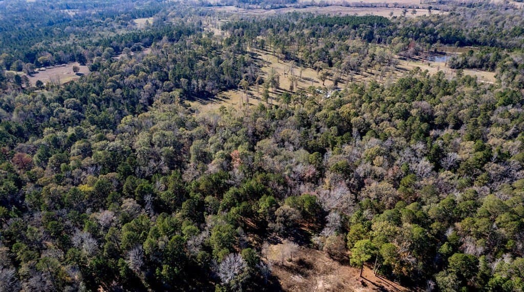 14.8 acres in ANDERSON County - photo 44