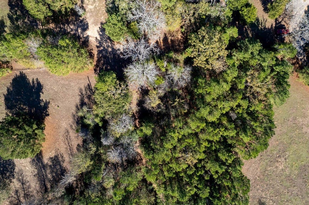 14.8 acres in ANDERSON County - photo 42