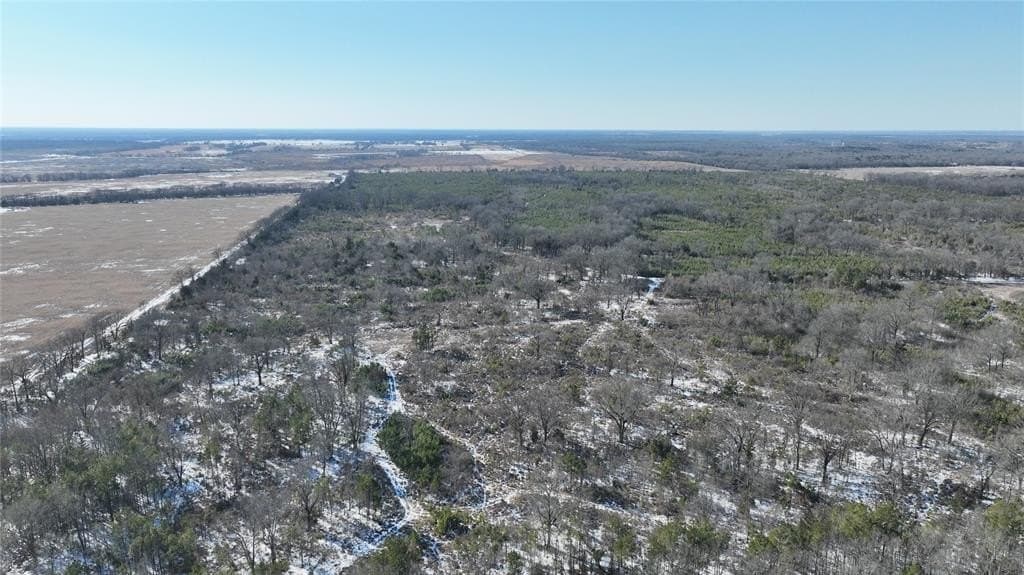 109.39 acres in Red River County - photo 14