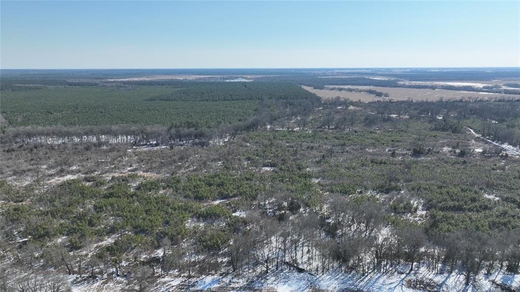 109.39 acres in Red River County - photo 3