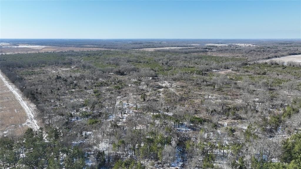 109.39 acres in Red River County - photo 15