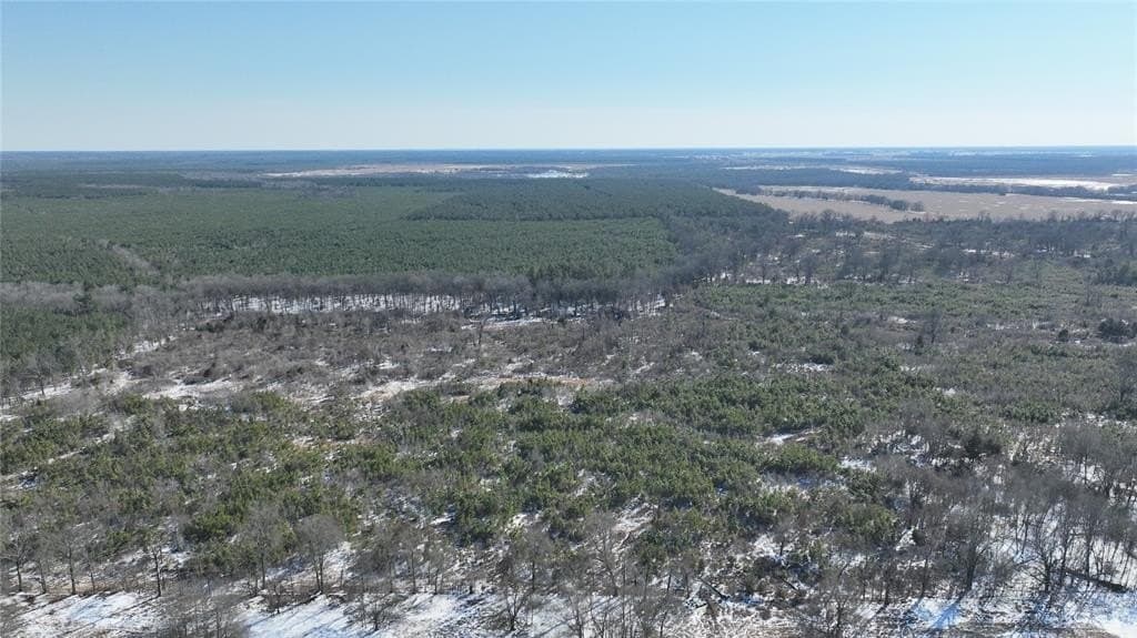109.39 acres in Red River County - photo 4