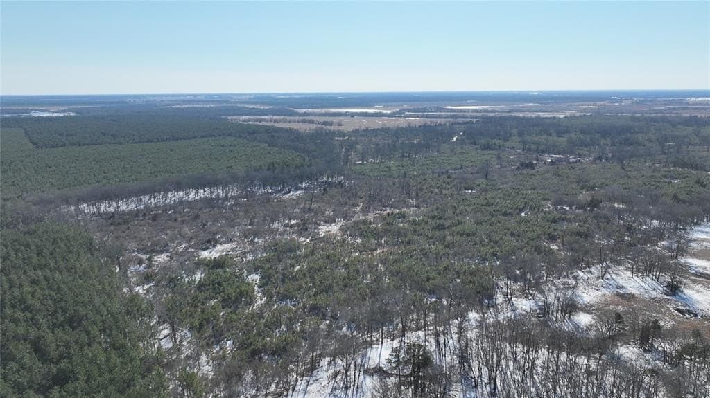 109.39 acres in Red River County - photo 6