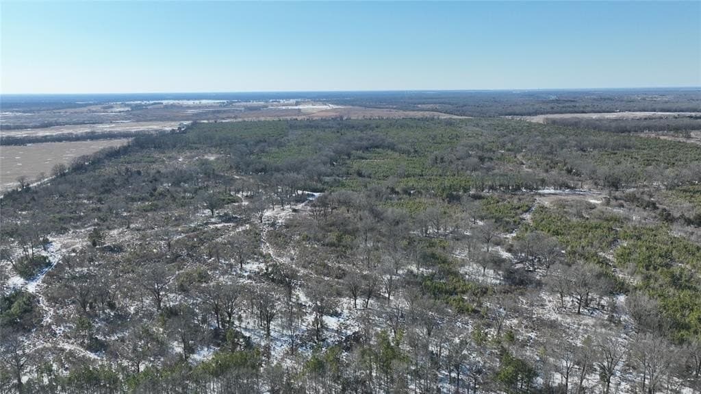 109.39 acres in Red River County - photo 13