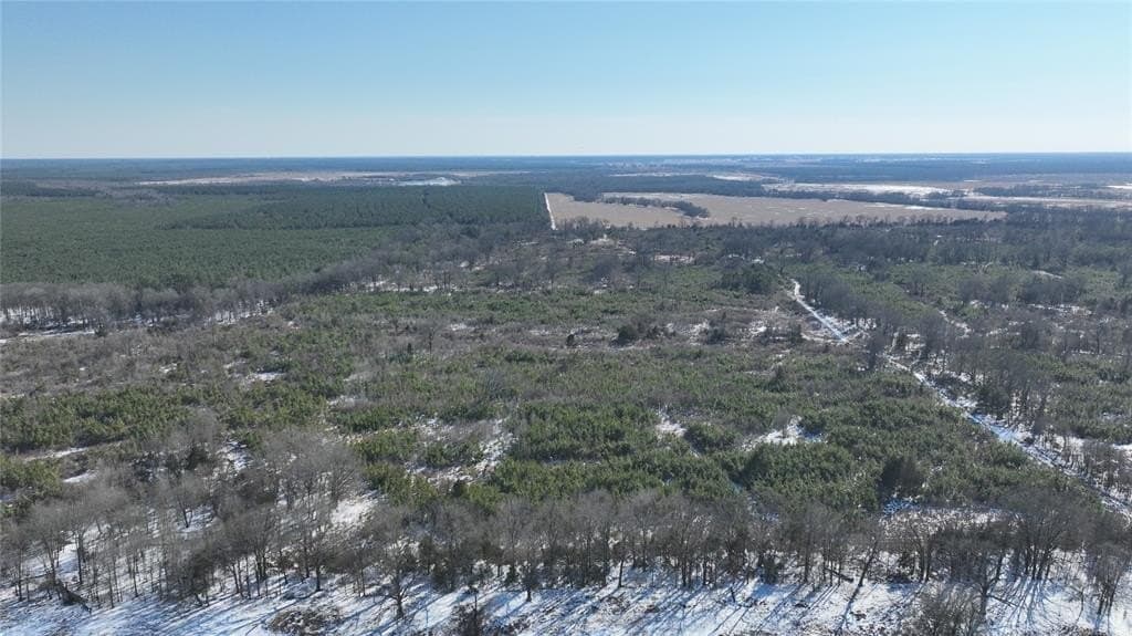 109.39 acres in Red River County - photo 2