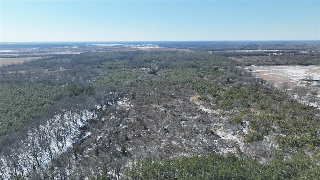 109.39 acres in Red River County - photo 8
