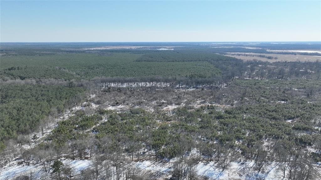 109.39 acres in Red River County - photo 5