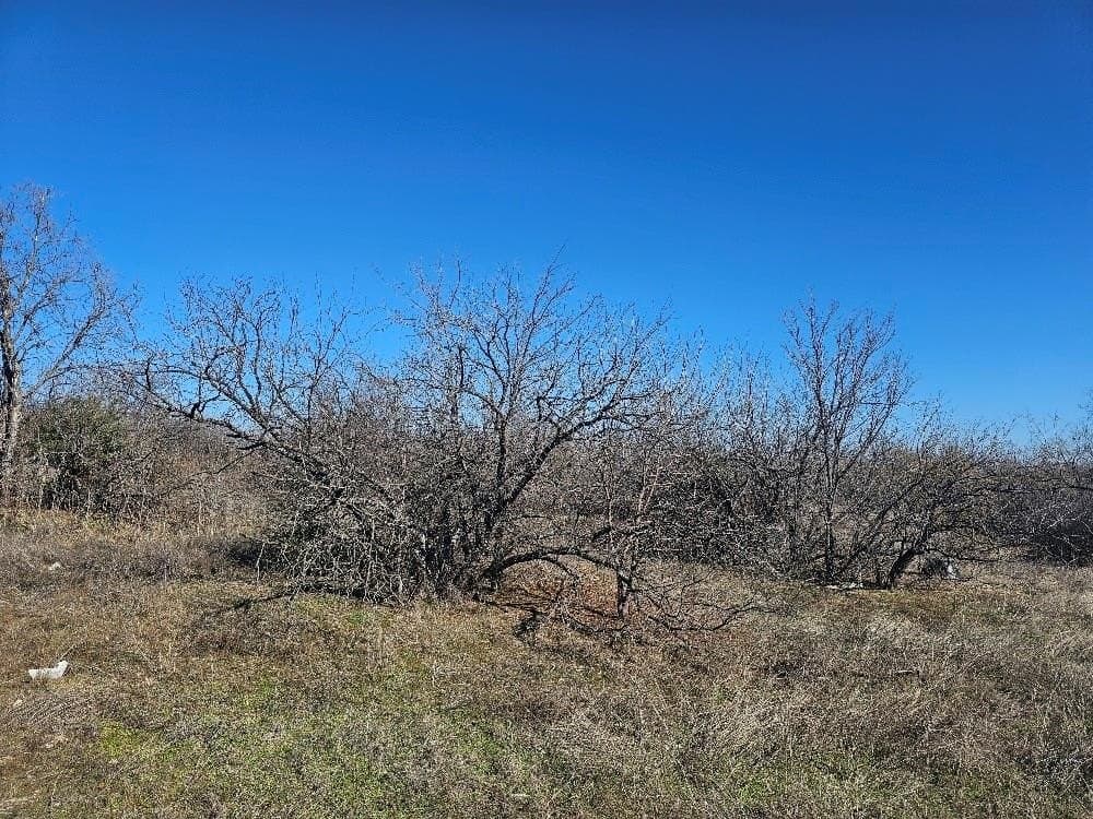 5.9 acres in Tarrant County - photo 8