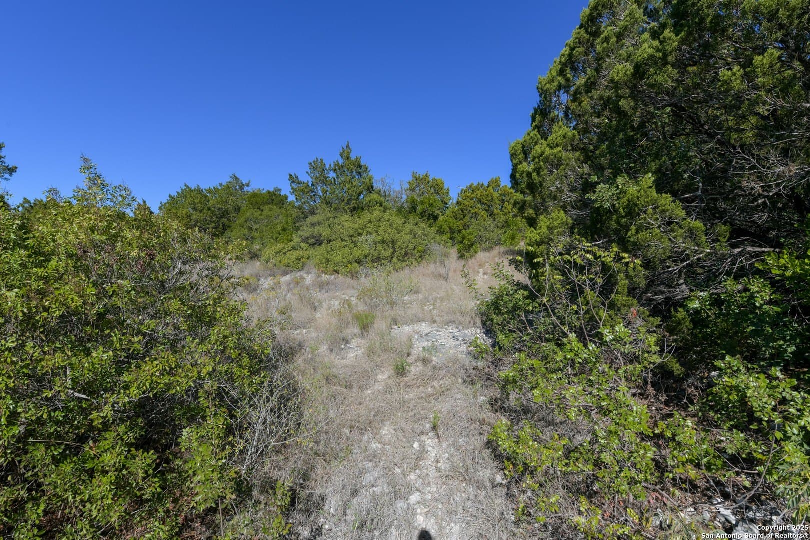 0.26 acres in Bexar County - photo 3